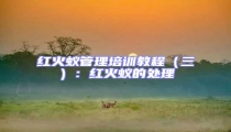 紅火蟻管理培訓(xùn)教程（三）：紅火蟻的處理
