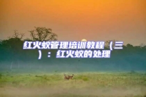 紅火蟻管理培訓(xùn)教程（三）：紅火蟻的處理