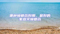 哪種蟑螂藥好用，最好的家庭滅蟑螂藥