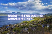 雌蟑螂一生只需交配一次，就可以終生產(chǎn)卵？