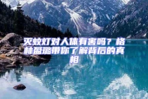 滅蚊燈對人體有害嗎？格林盈璐帶你了解背后的真相