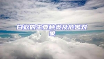 白蟻的主要種類(lèi)及危害對(duì)象