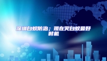 深圳白蟻防治；現(xiàn)在滅白蟻?zhàn)詈脮r(shí)機(jī)