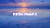 夏日白蟻滿屋都是