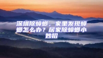 深圳除蟑螂，家里發(fā)現(xiàn)蟑螂怎么辦？居家除蟑螂小妙招