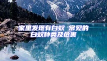 家里發(fā)現(xiàn)有白蟻 常見(jiàn)的白蟻種類(lèi)及危害