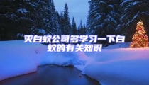 滅白蟻公司多學(xué)習(xí)一下白蟻的有關(guān)知識(shí)