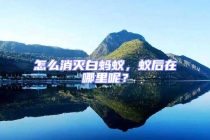 怎么消滅白螞蟻，蟻后在哪里呢？