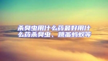殺臭蟲(chóng)用什么藥最好用什么藥殺臭蟲(chóng)、跳蚤螞蟻等