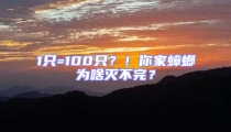 1只=100只？！你家蟑螂為啥滅不完？