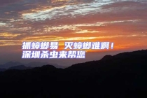 抓蟑螂易 滅蟑螂難?。?深圳殺蟲(chóng)來(lái)幫您