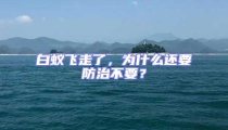 白蟻飛走了，為什么還要防治不要？