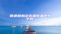 你還敢拍正在吸你血的蚊子嗎？