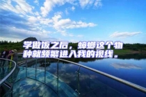 學做飯之后，蟑螂這個物種就頻繁進入我的視線。