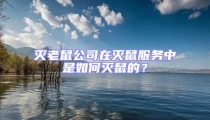 滅老鼠公司在滅鼠服務(wù)中是如何滅鼠的？