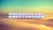 深圳白蟻站白蟻它會藏在哪里呢怎么才能找到蟻巢