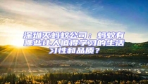 深圳滅螞蟻公司：螞蟻有哪些讓人值得學(xué)習(xí)的生活習(xí)性和品質(zhì)？