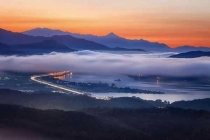 殺蟲(chóng)公司讓你的花卉枝繁葉茂