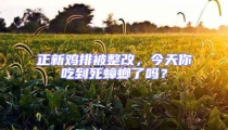 正新雞排被整改，今天你吃到死蟑螂了嗎？
