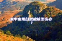 家中出現(xiàn)白蟻應該怎么辦？