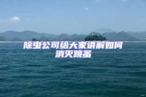 除蟲(chóng)公司給大家講解如何消滅跳蚤