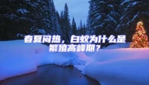 春夏悶熱，白蟻為什么是繁殖高峰期？