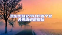 殺蟲滅鼠公司讓你這個夏天遠離老鼠侵擾