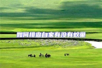 如何排查自家有沒(méi)有蟻巢