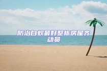 防治白蟻?zhàn)詈谜麠澐课蔟R動(dòng)員