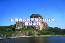 如何有效的滅鼠？江洋大盜快走開(kāi)