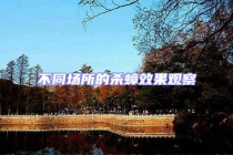 不同場(chǎng)所的殺蟑效果觀察