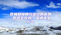 蒼蠅和蟑螂污染過的食物 你還會(huì)吃嗎？深圳殺蟲公司