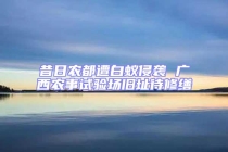 昔日農(nóng)都遭白蟻侵襲 廣西農(nóng)事試驗(yàn)場舊址待修繕