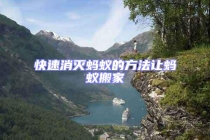 快速消滅螞蟻的方法讓螞蟻搬家