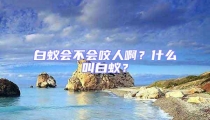 白蟻會不會咬人??？什么叫白蟻？