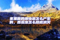 家里面的潮蟲是怎么產(chǎn)生的，西瓜蟲怎么徹底消滅