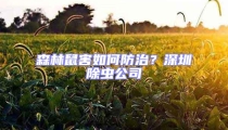 森林鼠害如何防治？深圳除蟲公司