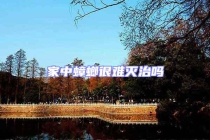 家中蟑螂很難滅治嗎