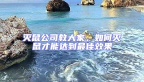 滅鼠公司教大家，如何滅鼠才能達(dá)到最佳效果