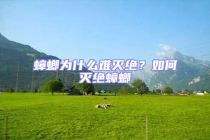 蟑螂為什么難滅絕？如何滅絕蟑螂