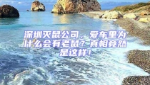 深圳滅鼠公司，愛(ài)車?yán)餅槭裁磿?huì)有老鼠？真相竟然是這樣！