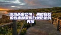 深圳殺蟲(chóng)公司：果園白蟻的危害和果園白蟻防治的方法
