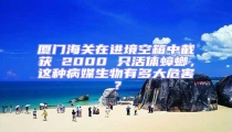 廈門海關(guān)在進(jìn)境空箱中截獲 2000 只活體蟑螂，這種病媒生物有多大危害？
