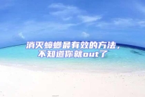 消滅蟑螂最有效的方法，不知道你就out了