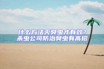 什么方法滅臭蟲才有效？殺蟲公司防治臭蟲有高招