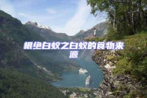 根絕白蟻之白蟻的食物來(lái)源