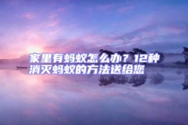 家里有螞蟻怎么辦？12種消滅螞蟻的方法送給您