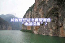 蟑螂理想越冬最愛哪些“電器設備”？