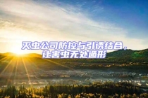 滅蟲公司防控與引誘結(jié)合，讓害蟲無處遁形