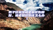 男子住旅館被老鼠咬傷腳趾，被老鼠咬傷該怎么辦？